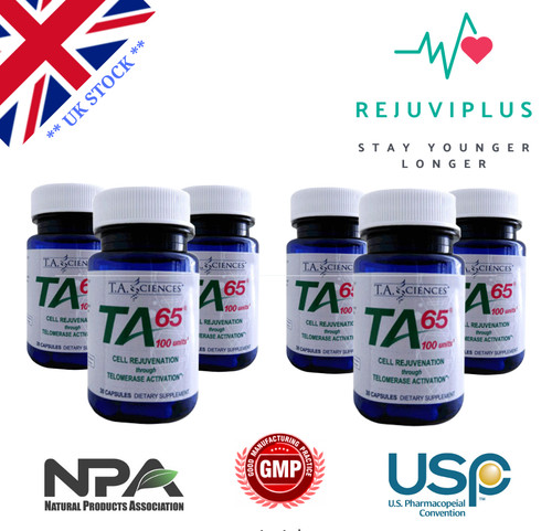 Ta65 astragalus - astragalus, |