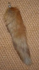 Vintage Red Fox Tail Hallmarked 1934 Silver - Duke of Buccleughs Hounds
