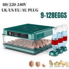 9-128 Eggs Home Use Farm