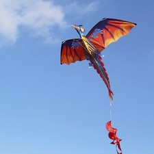 55 X 47 Inch Dragon Kite