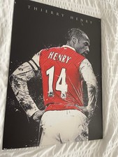 Henry Wall Displate (scratches Circled) (no Magnet)