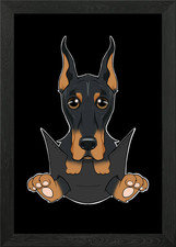 Doberman Puppy In Pocket