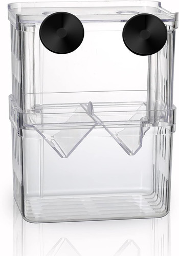 Aquarium fish tank - fish,