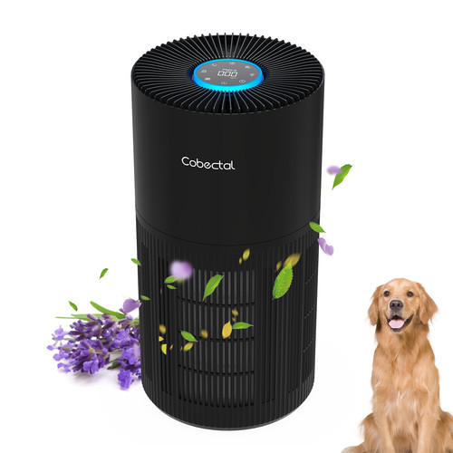 Hepa air purifier for - purifier, large