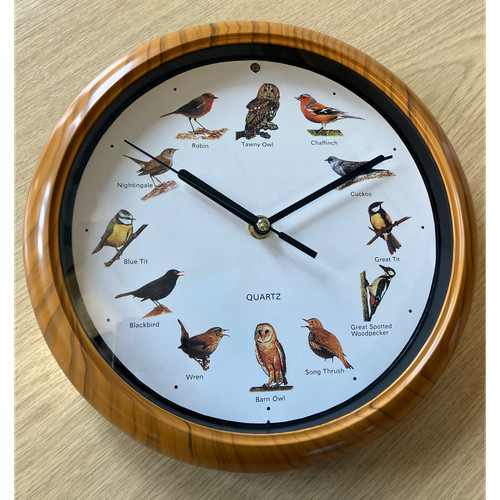 Wood effect bird song wall - bird,