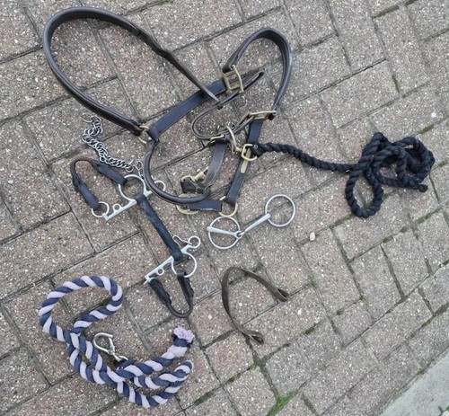 Leather horse rein harness - leather,
