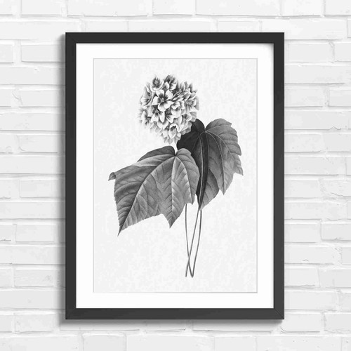 Botanical white flower cluster - white,
