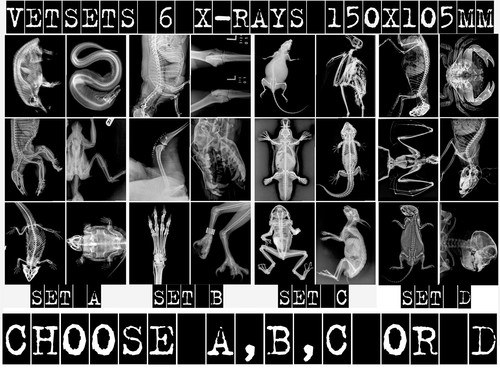 Vet sets c or - or, d