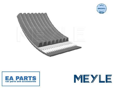 Ribbed belts for daf 65 - daf, cf