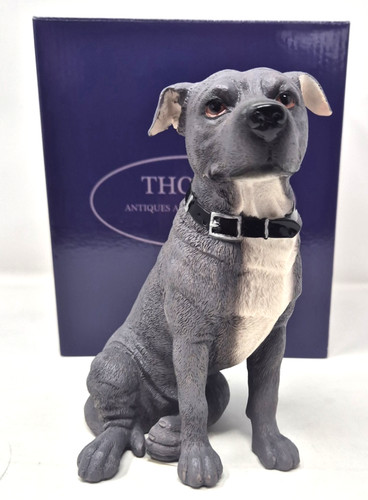 Blue staffordshire bull - staffordshire,