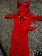 Welsh Dragon Fancy Dress Age 2