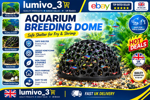 Shrimp breeding cave fish tank - shrimp,