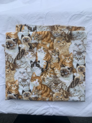 Cats kittens print craft - print,