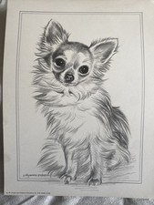Pollyanna Pickering Chihuahua