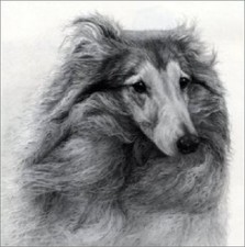 GARY HODGES 'BRACKEN ' LIMITED EDITION PRINT MINT