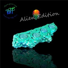 Alien Special Edition Frag