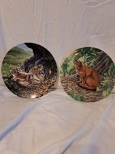4 Collector's Wild Cat Plates
