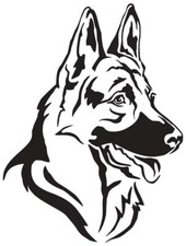 large Dog alsatian van car