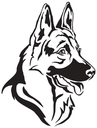 Large dog alsatian van - large,