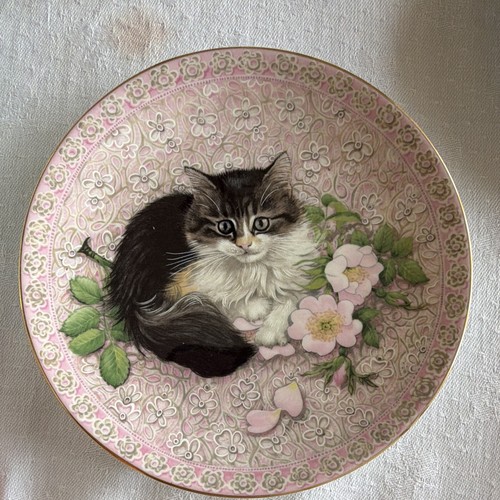Lester meet kittens - lester,