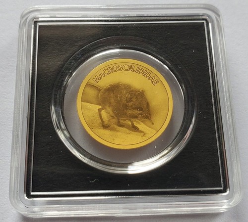 2022 chad gold coin - gold,