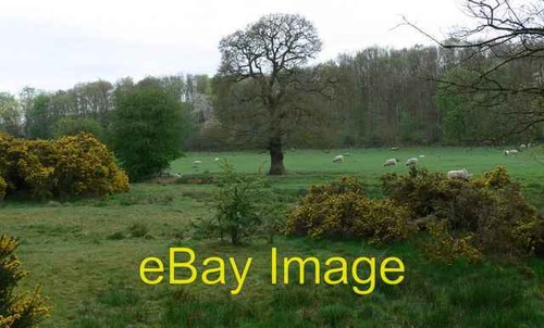 Photo 6x4 farmland off priory - photo,