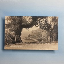 Mallorca Postcard C1920 Real