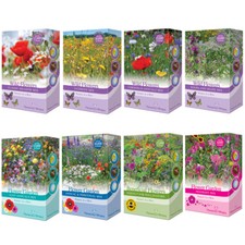 T&M Seed Flower Garden
