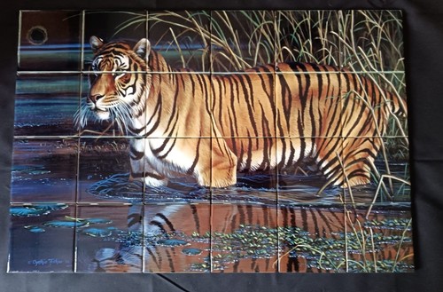 Damaged ceramic tile - ceramic,