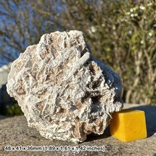 Desert rose gypsum spiritual - desert,