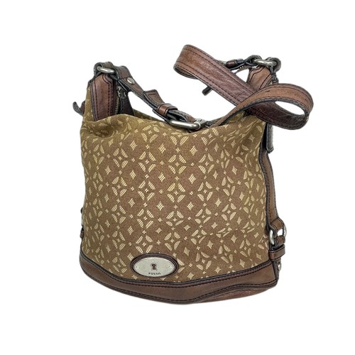 Fossil large maddox brown - maddox,