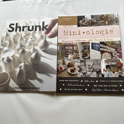 Dolls house magazines shrunk - dolls,