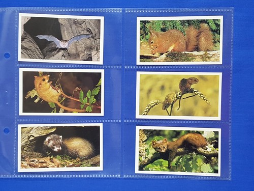 Grandee cigar cards britains - grandee,