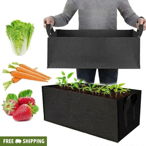Large plant tree pot container - large,