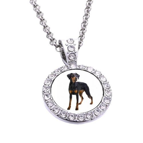 Doberman dog pet - doberman,