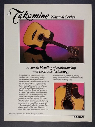 1990 takamine natural - 1990,