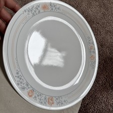 1 Corelle (Corning) Dinner