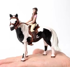 Black & White Pinto Horse w/