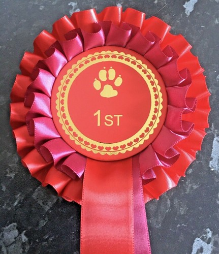 Individual placing dog tier - dog, 2