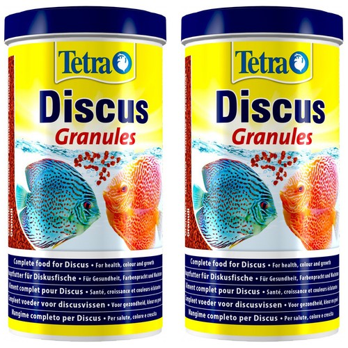 Tetra prima discus - tetra,