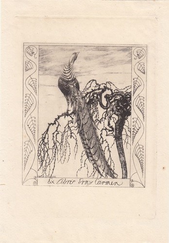 Exlibris bookplate radierung - exlibris,