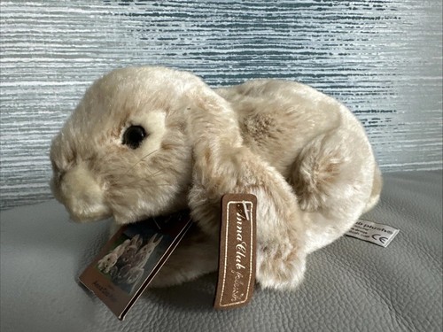 Anna club bunny rabbit soft - bunny,