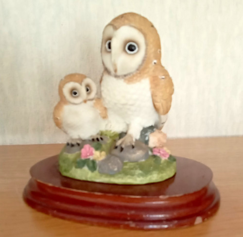 Brown white owl owlet - &,