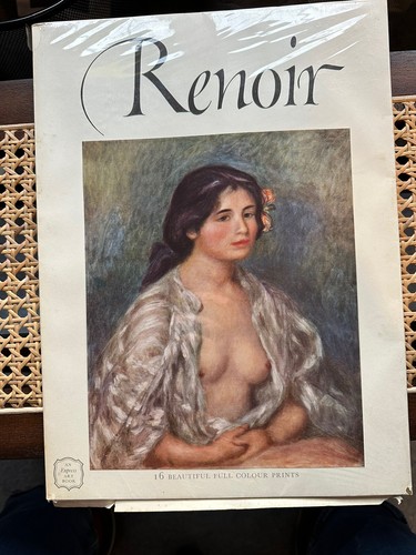 Renoir fox express - ,