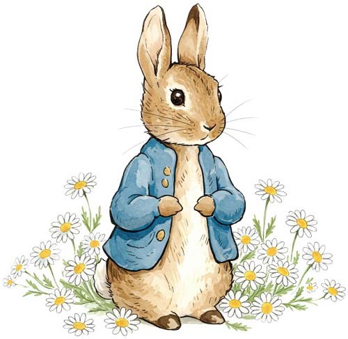 Christmas peter rabbit wall - peter,