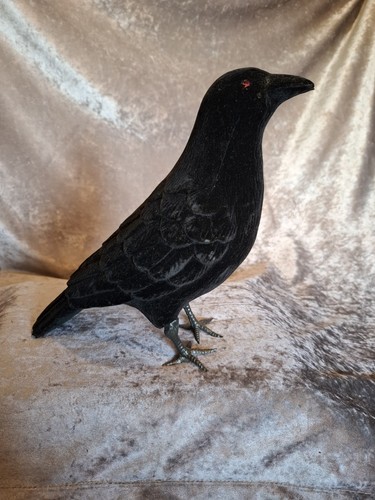Gothic figure black raven - gothic,