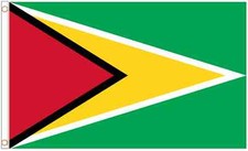 Guyana Polyester Flag - Choice of Sizes