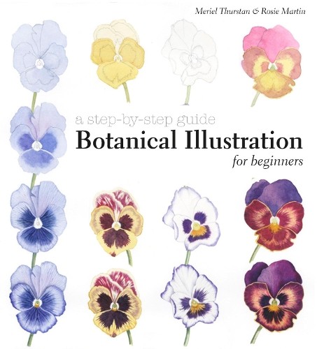 Botanical illustration for - botanical,