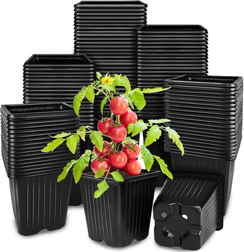 100pcs square plant nursery - 100pcs,