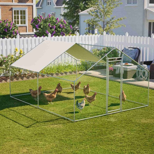 Chicken run cage walk - run, hen